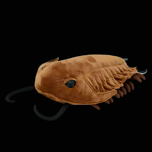 Premium Plush Trilobite 28 cm